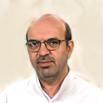 حمید حبشی